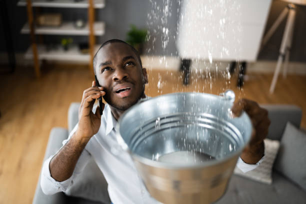 Best Fire Damage Restoration  in Star Valley, AZ