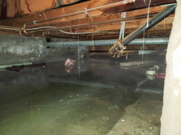 Best Emergency water damage restoration  in Star Valley, AZ
