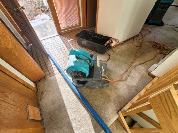 Best Flood damage cleanup  in Star Valley, AZ