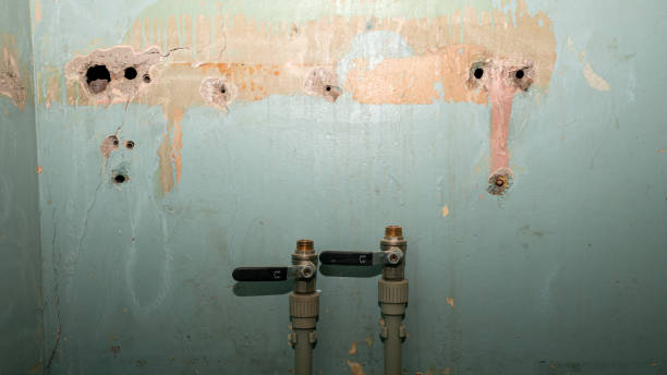Best Water damage restoration near me  in Star Valley, AZ