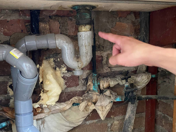 Best Water damage restoration company  in Star Valley, AZ